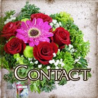 asl contact us