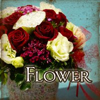 asl flower design